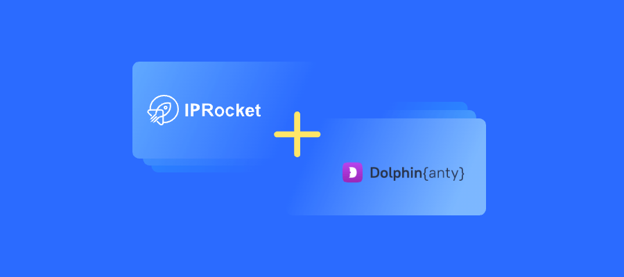 海豚与 iprocket